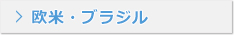 歐米?ブラジル